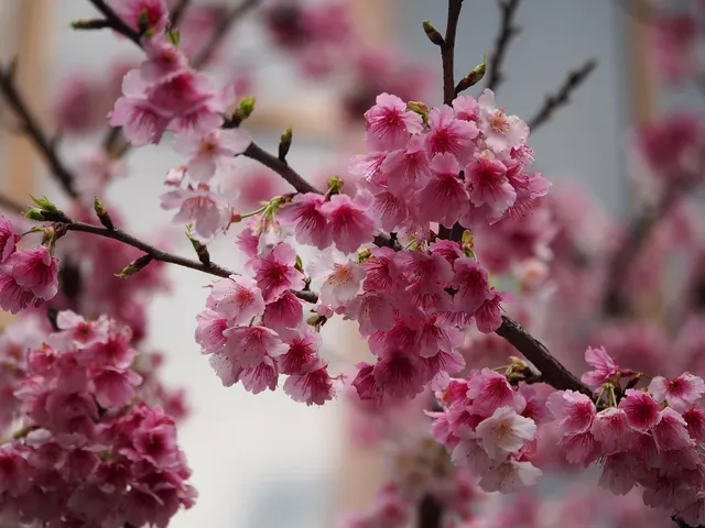 FUJI 2MBI300N-060