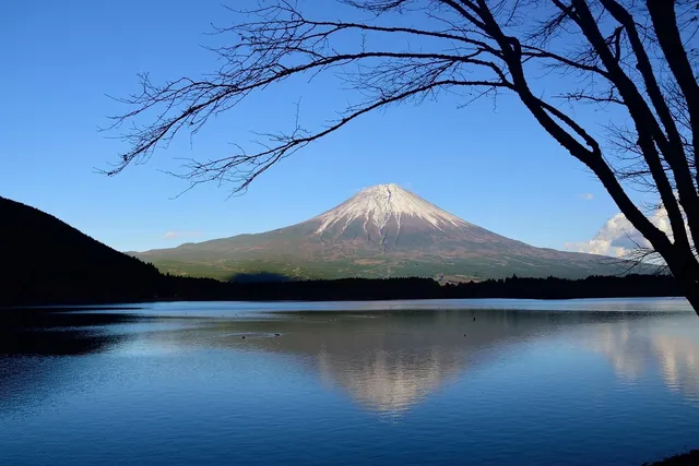 Fuji 6RI50E-080